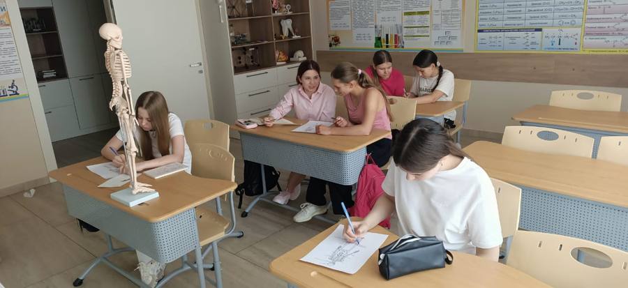 Летняя гимназия: увлекательный мир анатомии