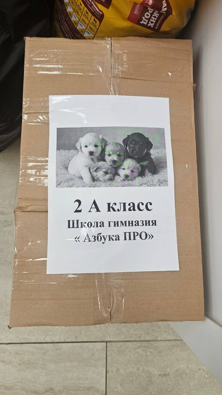 Волонтерская акция «Будь другом!»